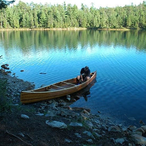 Brass Stem Bands For Canoe (Pair)